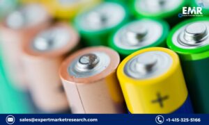 Alkaline Battery Market