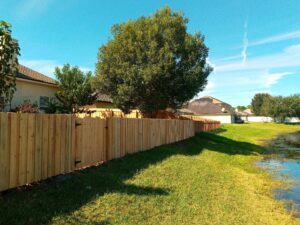 fencing