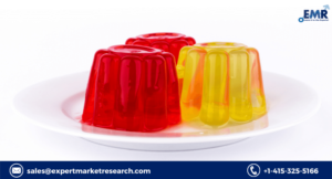 Gelatine Market