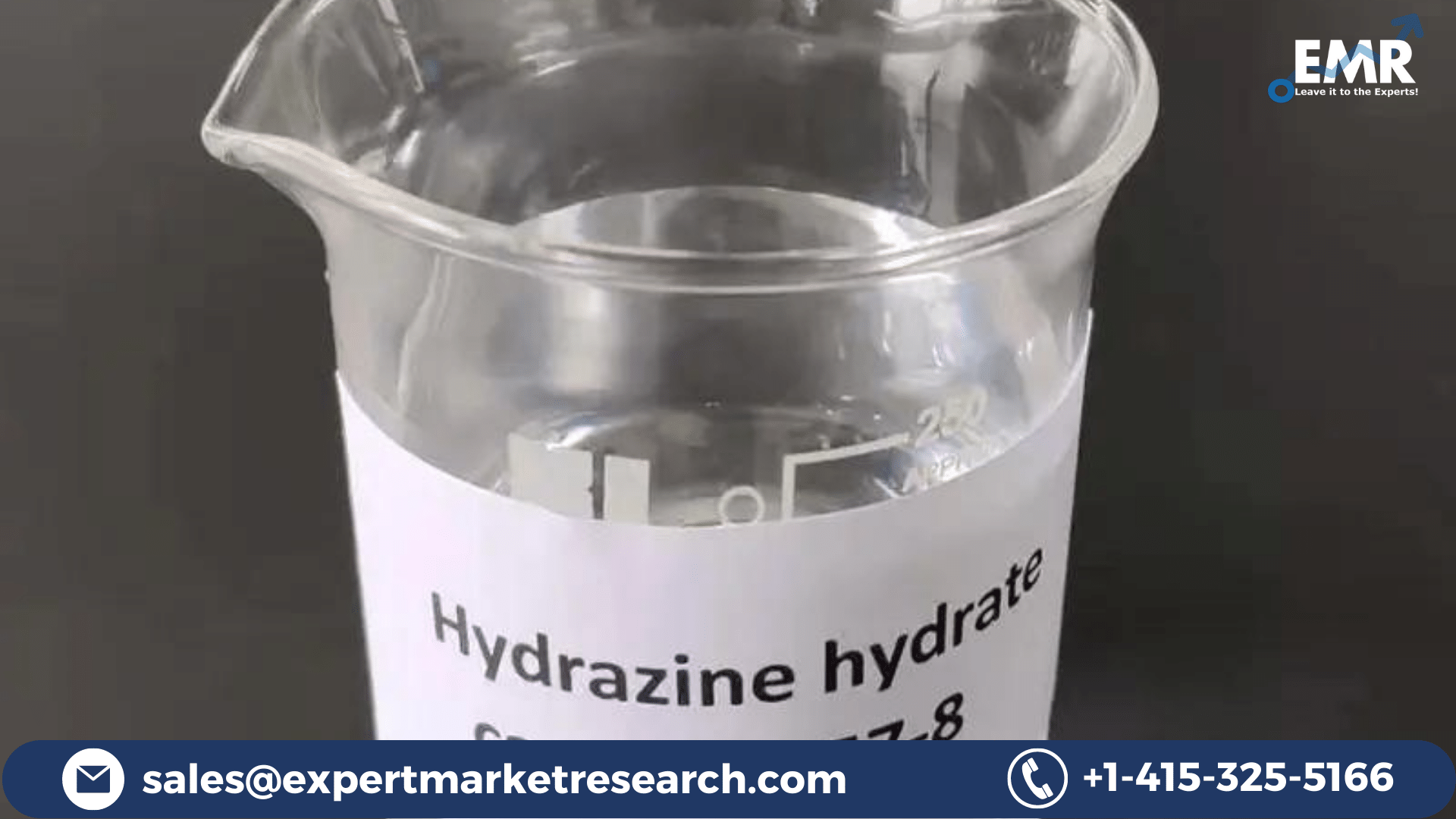 Hydrazine Hydrate Market