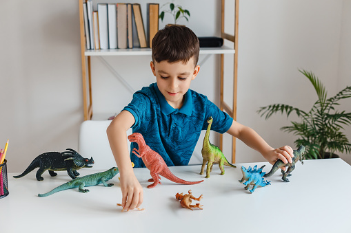 Latin America Toys Market