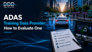 ADAS Training Data Provider: How to Evaluate One